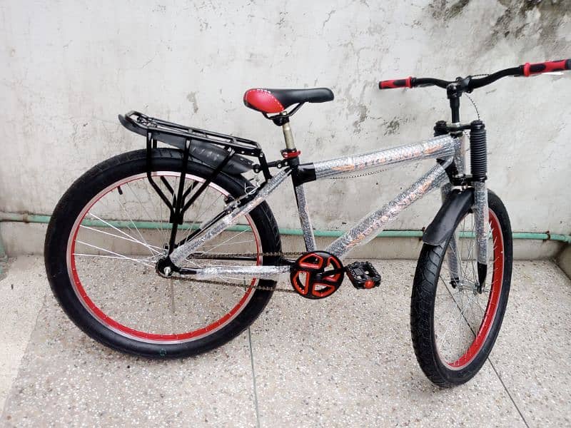 24/26" Fat Phoenix Bike 11