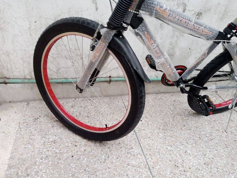 24/26" Fat Phoenix Bike 14