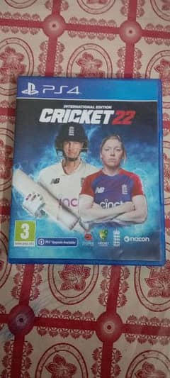 Cricket 22