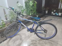 cycle for sale