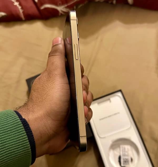 Iphone 12 pro max gold 4