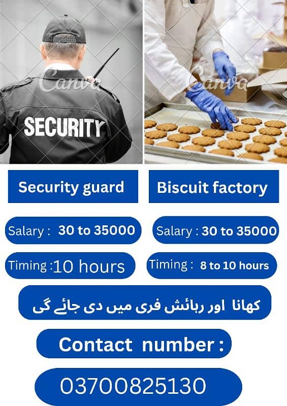 Security Guard and Biscuits factory jobs 0