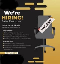 sale executive