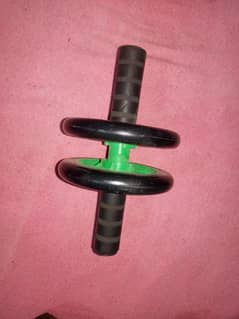 ruber dumbells used