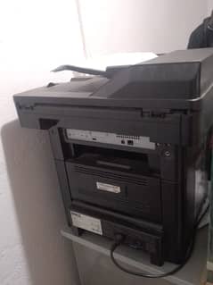 dell 3333dn