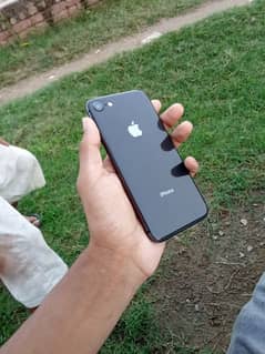 iphone 8[Urgent Sale]