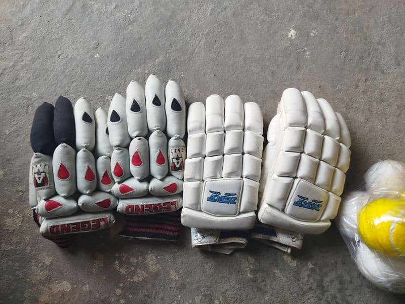 cricket gloves 2