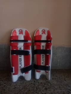 2 pair pads 2 pair gloves 2 elbow guard 1 double thigh guard