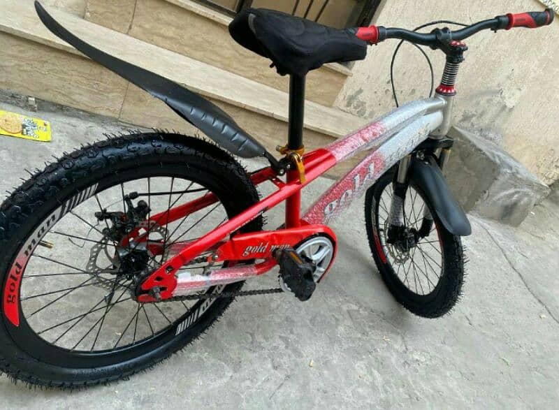 Imported Bicycle 20 Inch Dual Disk 3