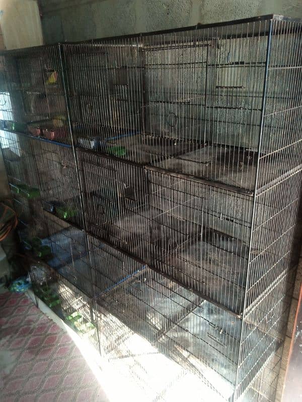 Ringneck end Cage 6