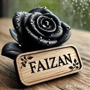 Faizii