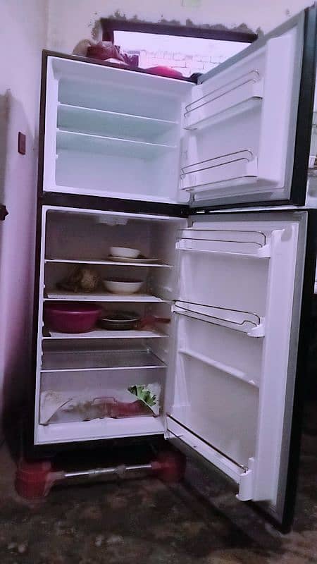 fridge medium size 1