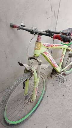 Bicycle