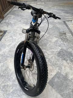 Fat bike