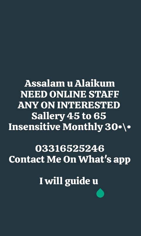 ONLINE STAFF REQUIRED INTERESTED PEOPLE COME ON WHATS APP 0