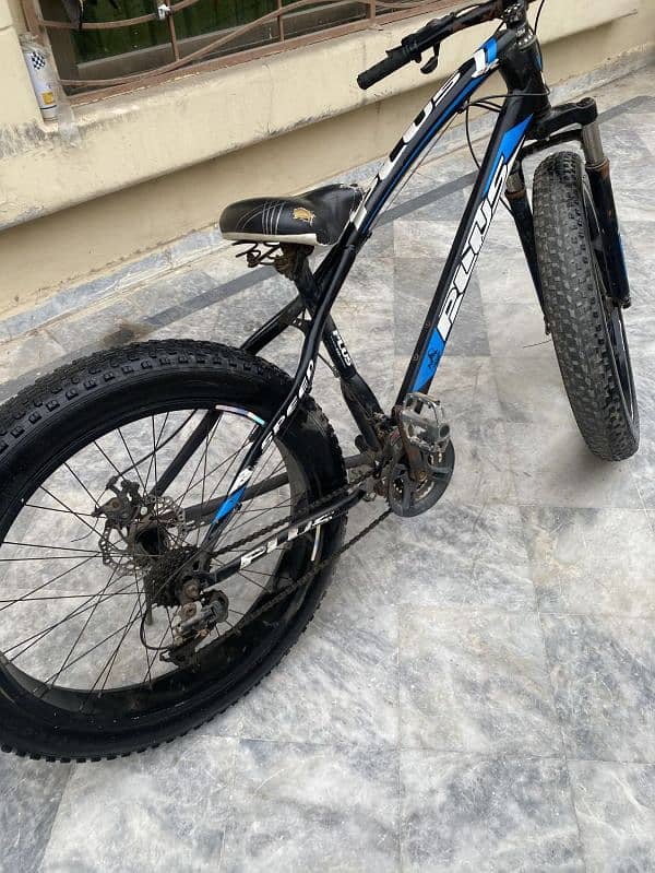 Fat bike 1