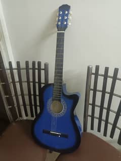 acoustic guitar