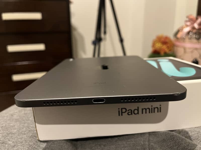 Ipad mini 6 0