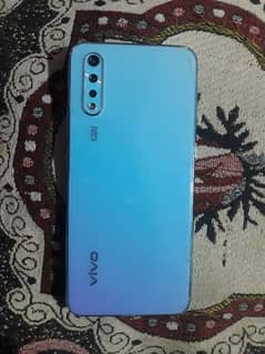 vivo