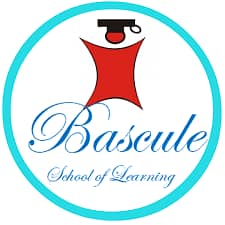 Paid Internship Opportunity at Bascule School of Learning!