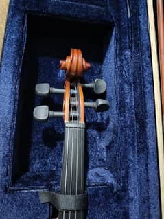 violin