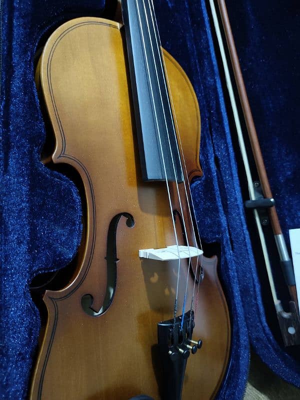 violin price negotiable 1