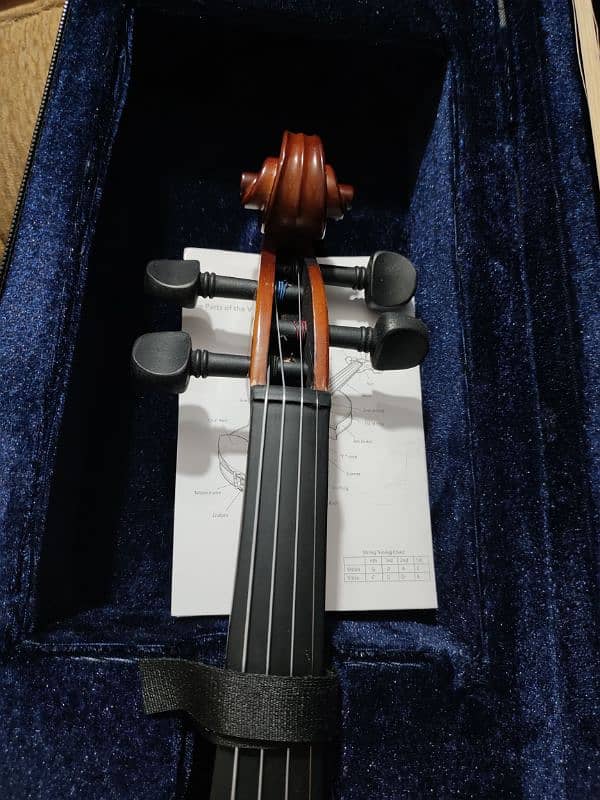 violin price negotiable 3