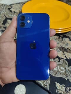 i phone12 jv with 128gb 10.10 condition 81% betry health with