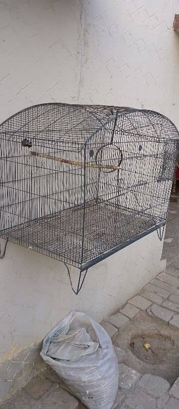 Parrots Cage 3