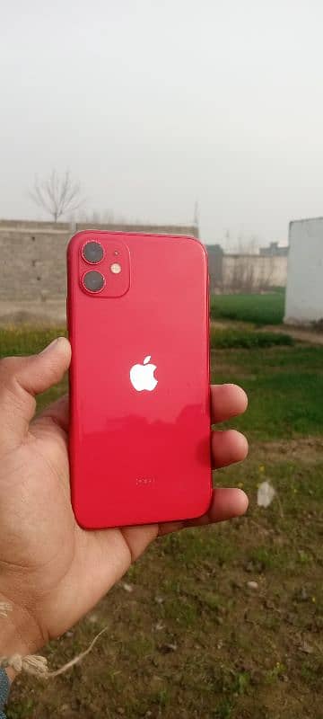 IPhone 11 0