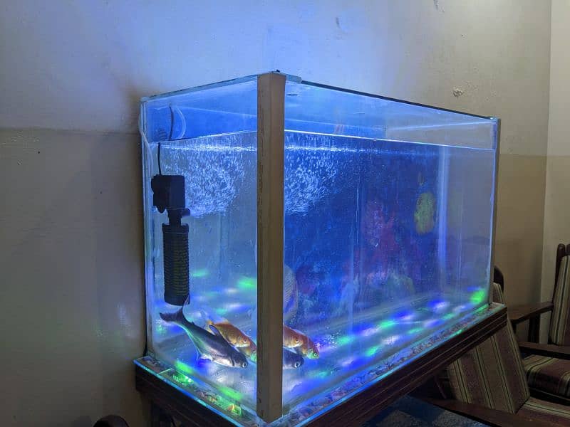 Aquarium with Fishes For Sell 2