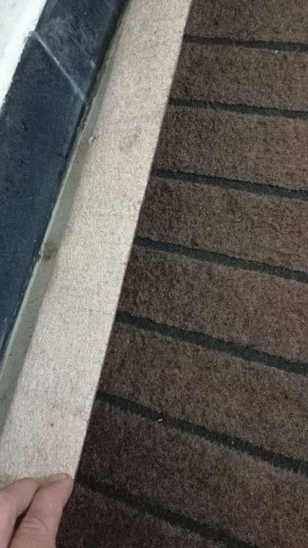 Carpet 2