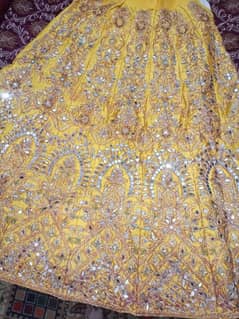 brand new lehnga