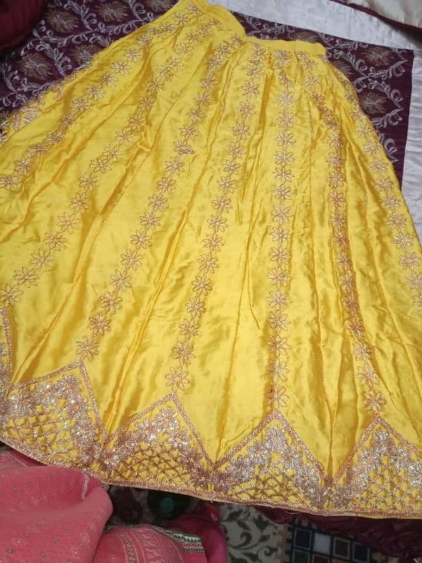 brand new lehnga 2