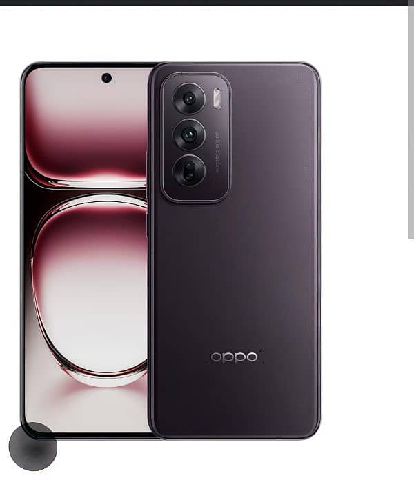 Oppo Reno 12 5G 12/512 GB 2