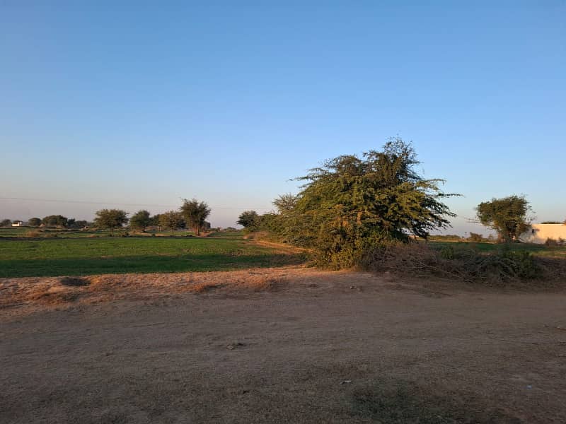 Fertile Land For Sale in Pind Fateh , 12 Km from CPEC Interchange Fateh Jang 2