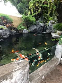 Waterfal - Fountain - Swimg Pool - Pond - Fish Aquarium (0333-5556007)