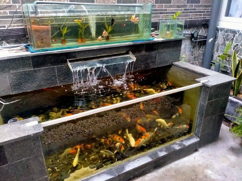 Waterfal - Fountain - Swimg Pool - Pond - Fish Aquarium (0333-5556007) 2