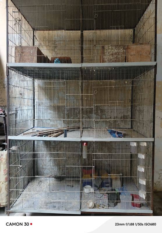 bird cage 1