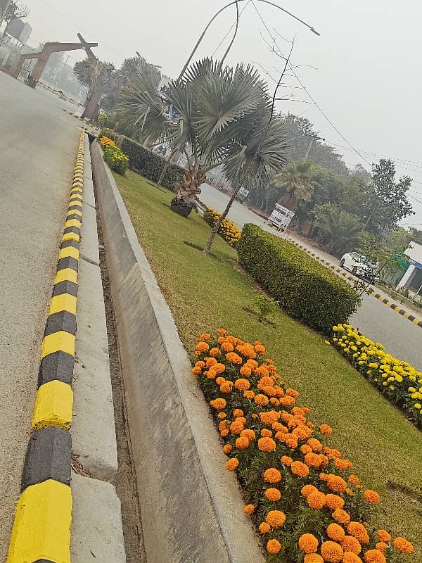 1 Kanal Plot For sale in Shaheen block LDA approved 1