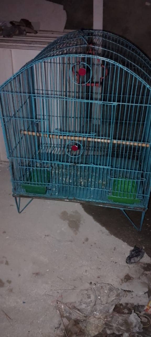 Cage sale for birds 0