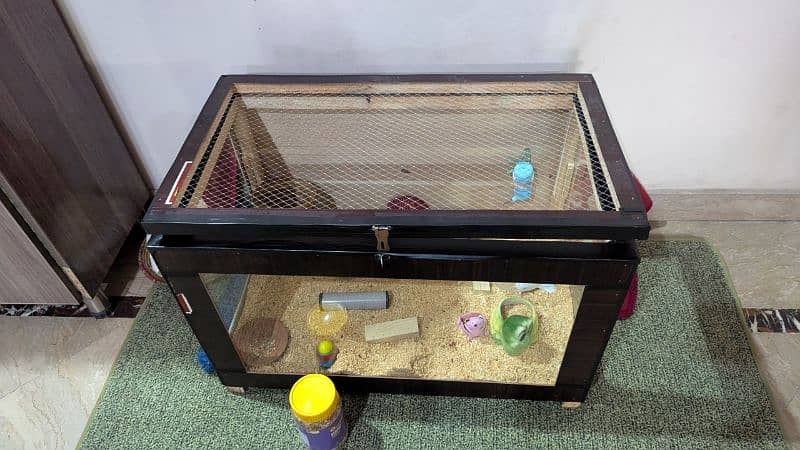 3 hamster with their house 1