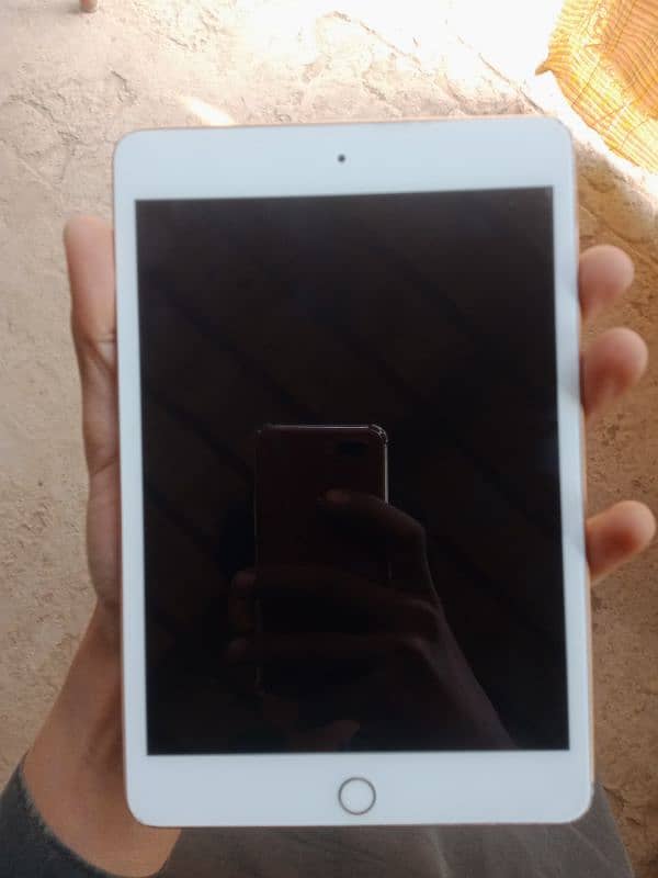 iPad mini 5 64gb with box iOS18.2 10 by 8 bypass hone wala hai I cloud 5