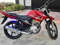 Yamaha YBH G