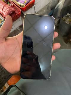 Iphone 12 pro max pta approved