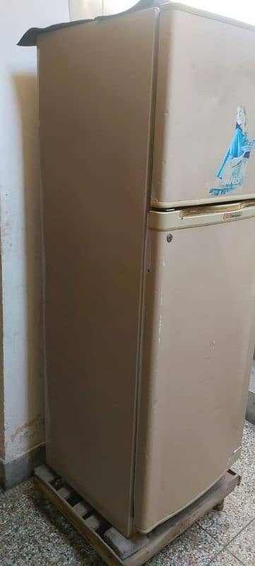 full size refrigerator 5