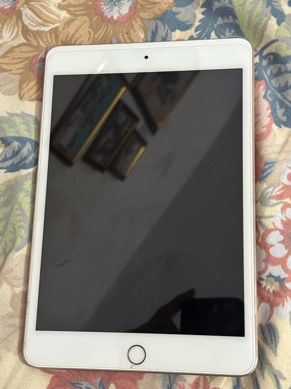 ipad Mini 5 0