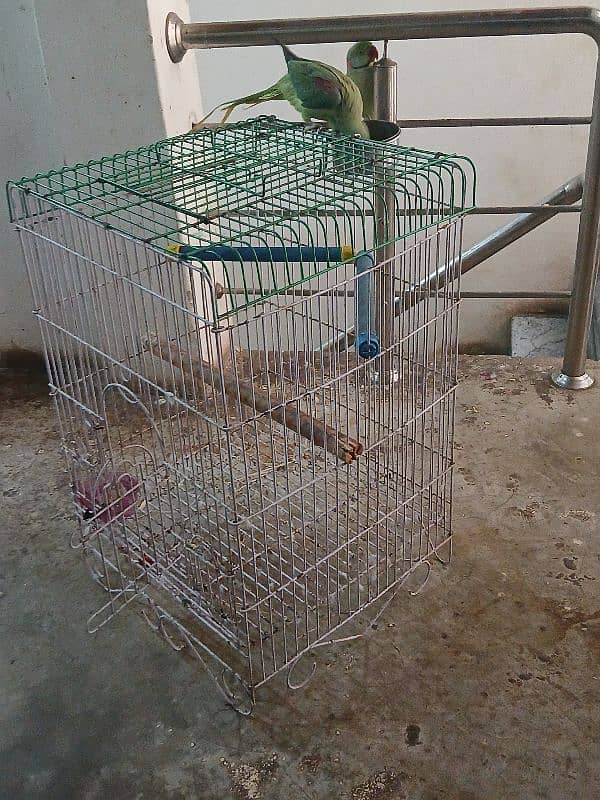 Raw Parrots Cage 0