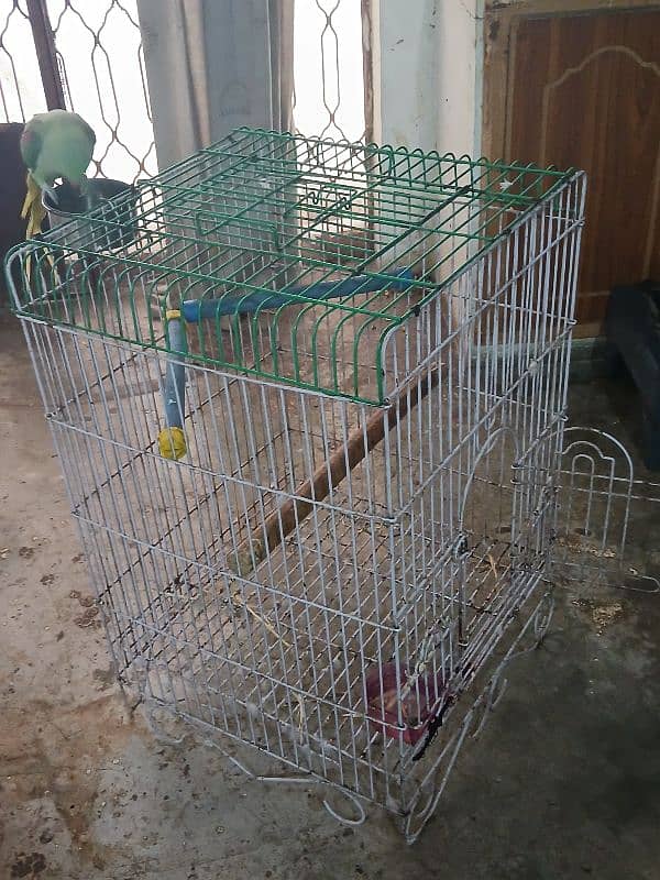 Raw Parrots Cage 1