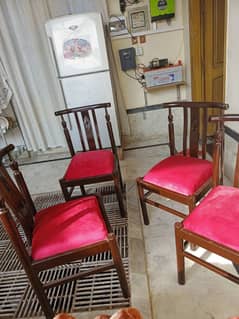 Slitly Used Dining Chairs